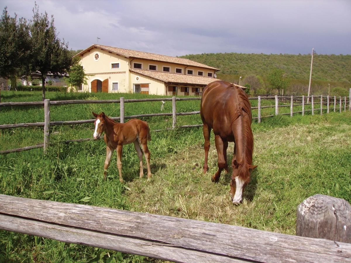 קמפניינו די רומא Agriturismo Potrero Grande Sul Lago Di Martignano Con Spiaggia מראה חיצוני תמונה