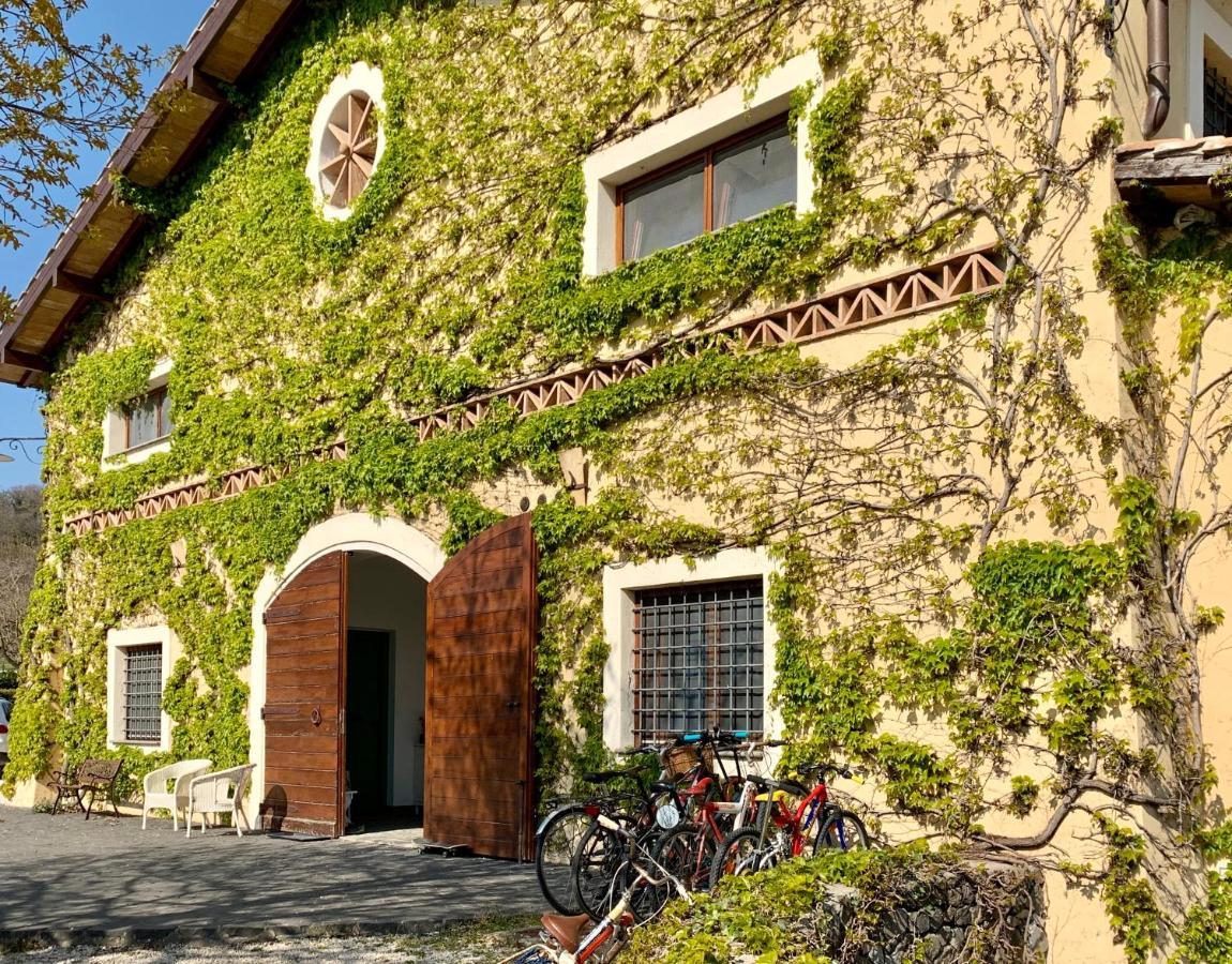 קמפניינו די רומא Agriturismo Potrero Grande Sul Lago Di Martignano Con Spiaggia מראה חיצוני תמונה