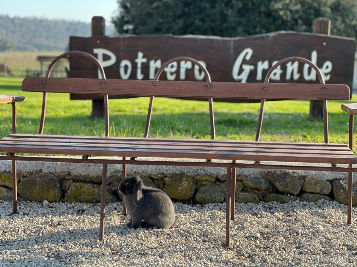 קמפניינו די רומא Agriturismo Potrero Grande Sul Lago Di Martignano Con Spiaggia מראה חיצוני תמונה