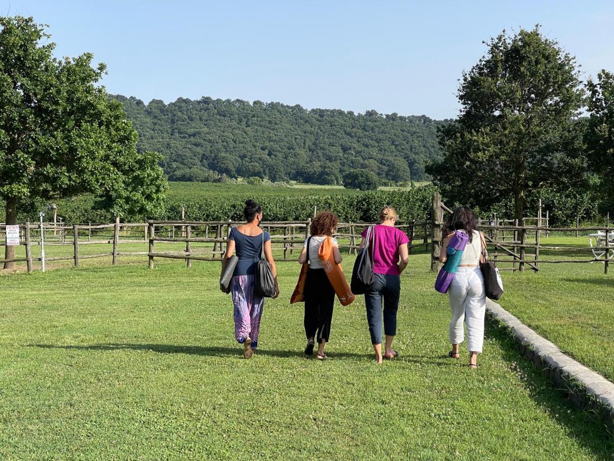 קמפניינו די רומא Agriturismo Potrero Grande Sul Lago Di Martignano Con Spiaggia מראה חיצוני תמונה