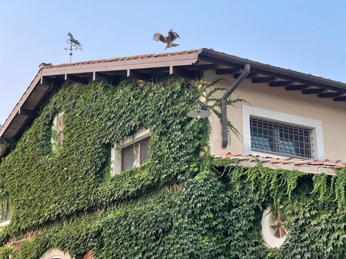 קמפניינו די רומא Agriturismo Potrero Grande Sul Lago Di Martignano Con Spiaggia מראה חיצוני תמונה
