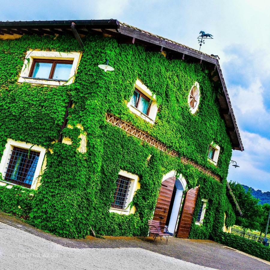 קמפניינו די רומא Agriturismo Potrero Grande Sul Lago Di Martignano Con Spiaggia מראה חיצוני תמונה