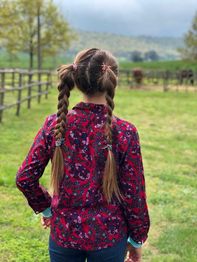 קמפניינו די רומא Agriturismo Potrero Grande Sul Lago Di Martignano Con Spiaggia מראה חיצוני תמונה