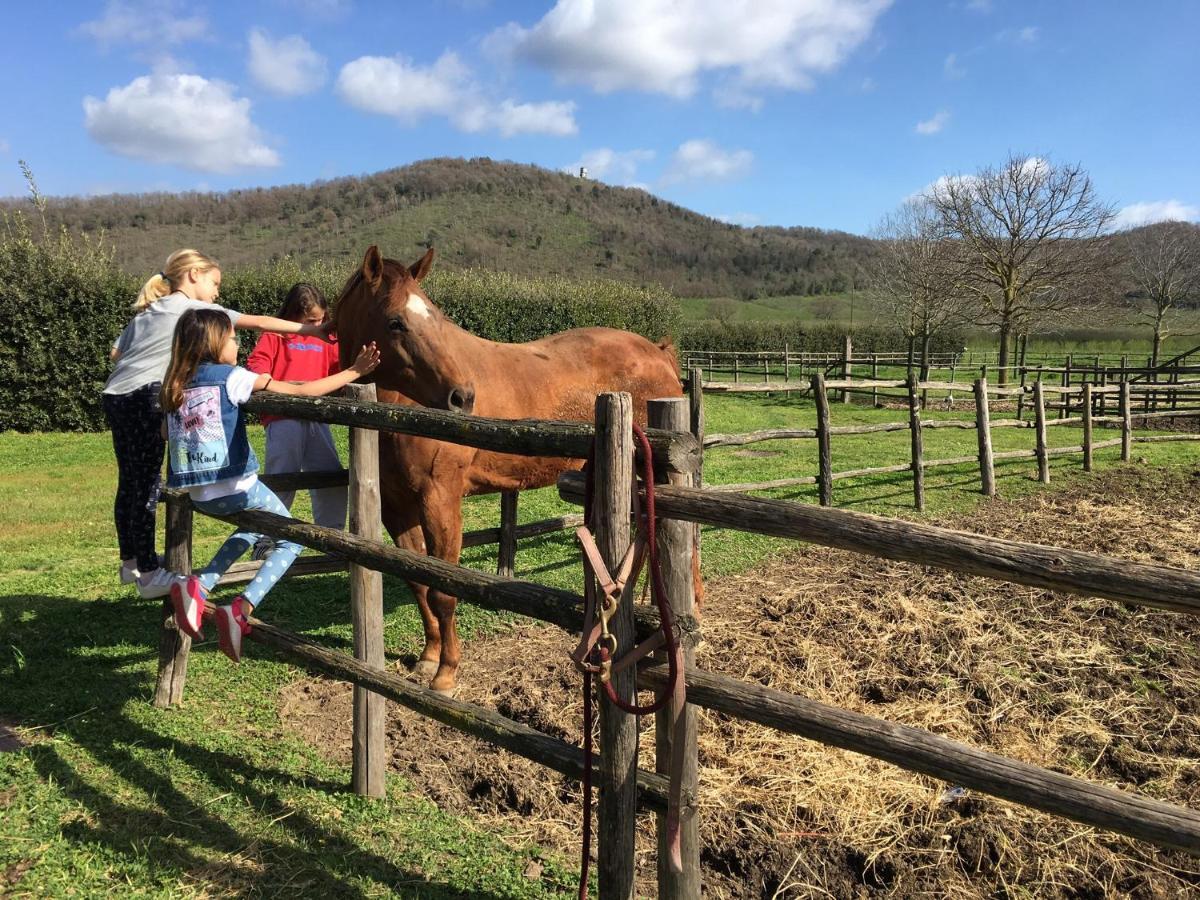 קמפניינו די רומא Agriturismo Potrero Grande Sul Lago Di Martignano Con Spiaggia מראה חיצוני תמונה